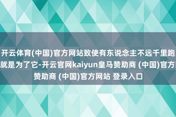 开云体育(中国)官方网站致使有东说念主不远千里跑到大兴坐飞机就是为了它-开云官网kaiyun皇马赞助商 (中国)官方网站 登录入口